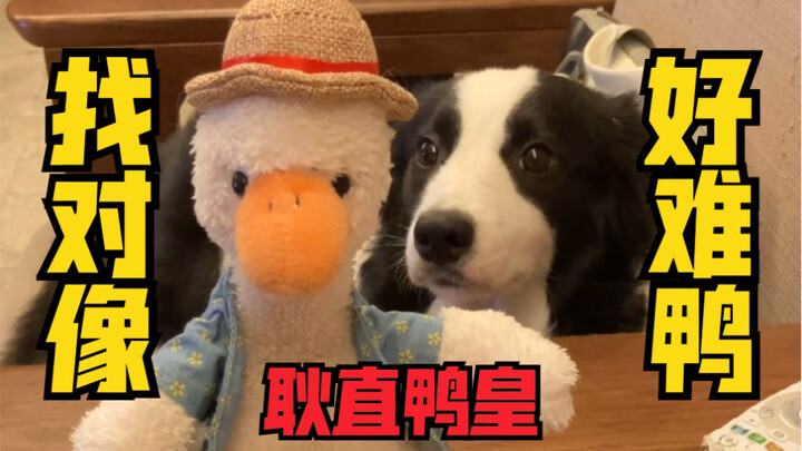Kinh ngạc! Con vịt này lại nảy sinh những ý nghĩ không nên có với tôi?!