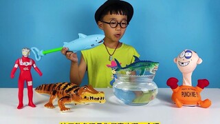 小泽开箱玩鲨鱼造型水枪玩具，还有会爬行的组装鳄鱼玩具