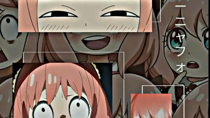 bgi² wallpaper loly >3