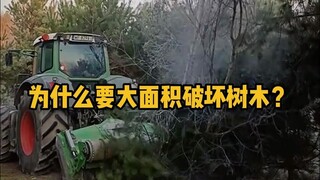 为什么要大面积破坏树木？ #科普 #解压 #伐木 #森林 #冷知识