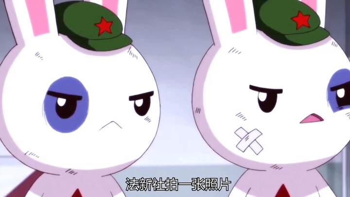 那兔：没人能比法新社更懂压迫感，不愧是兔子公认的站姐！