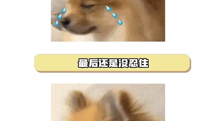 After getting drunk, the kind and evil personas keep switching back and forth.