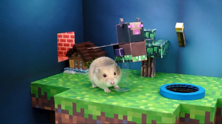 ภารกิจของหนูแฮมสเตอร์ EP 219