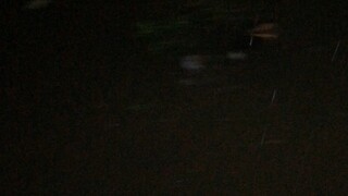 Typhoon last night.