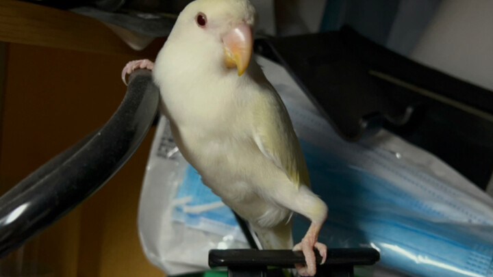 นอนท่าอะไรกันเนี่ย