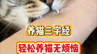 The Three-Character Classic of Cat Raising: Easy Cat Care Without Worries