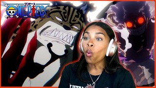 POWERS ON A DIFFERENT LEVEL! LUFFY VS. LUCCI! | ONE PIECE EPISODE 1100 REACTION