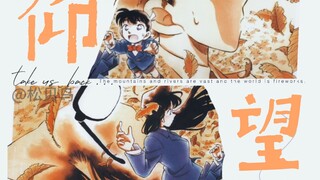 新兰双视角 | 在风里等一场重逢