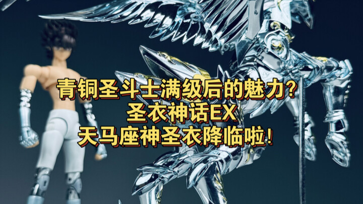 青铜圣斗士满级后的魅力？圣衣神话EX天马座神圣衣降临啦！！！