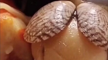 นามธรรมเกินไป