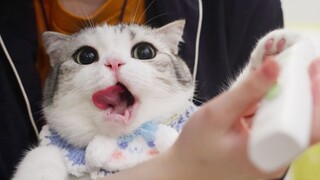 Nhìn chân mình được cạo