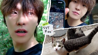 [SVT Record] Ngày D quay lại nhanh chóng | Du lịch ngẫu hứng cùng bạn bè 🚘🌿 | Ngẫu nhiên quyết định 