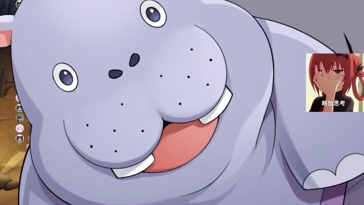 How could someone date a hippopotamus?!