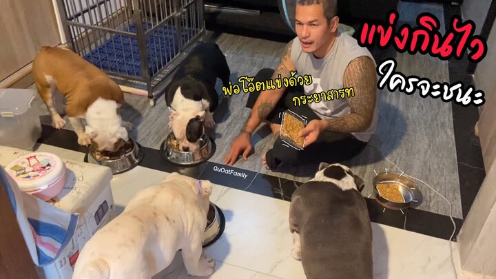 แข่งกิน มาดูกันว่า ใครจะเป็นแชมป์กินเร็วของบ้านนี้
