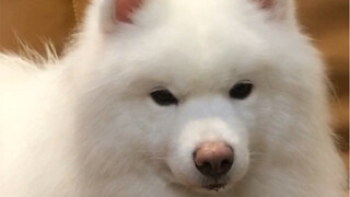 Sangat mirip dengan penampilan pacarmu saat sedang marah!