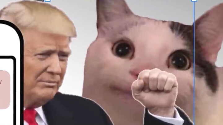 [Beluga and His Buddies] About Comrade Jianguo traveling all the way just to give me two solid punch