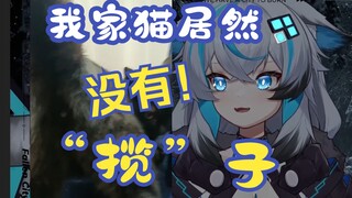 养了很久的猫 拍照之后 发现是一只母猫！