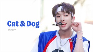 230326 [4K] xikers 유준 - Cat & Dog Cover (원곡 : TXT) @1theK CROWD BUSKING