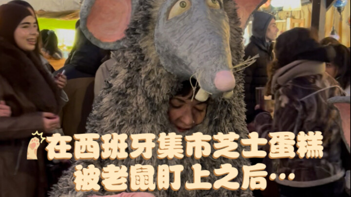 After a cheesecake at a Spanish market got targeted by mice, it became part of their act! Here comes