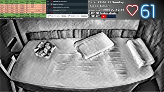 Sleep Stream 29.06.2025