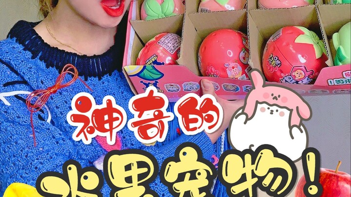 Don’t blink! The cutest pet blind box on the internet is here—don’t miss it or you’ll regret it!