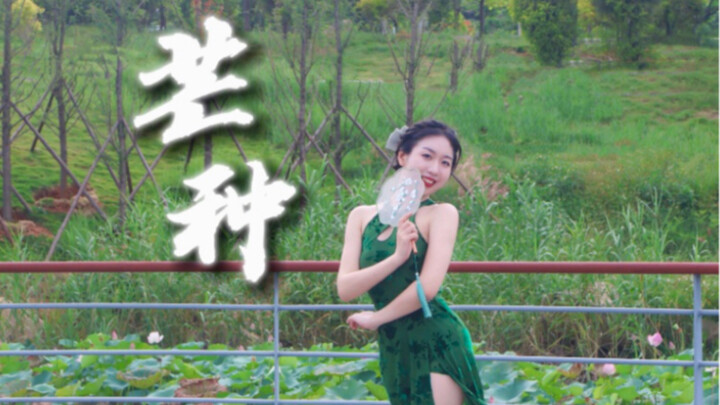 【芒种】救命！她真的好适合穿旗袍！｜白小白编舞翻跳