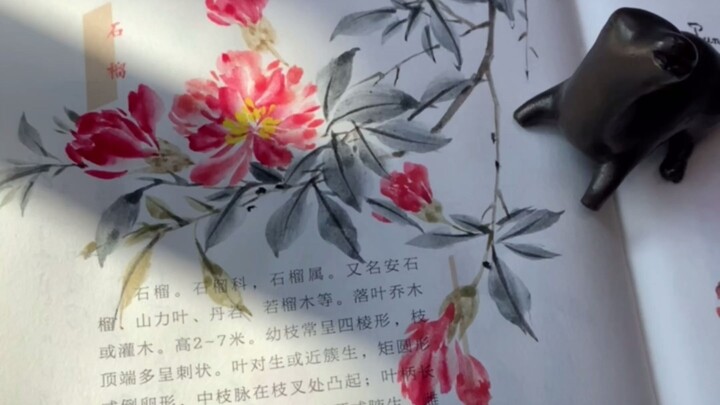 ใส่ภาพประกอบให้หนังสือหน่อย～ทุกคนว่าเข้ากันไหม?