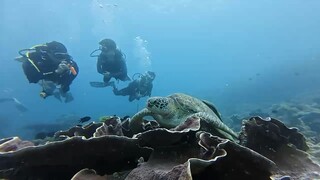 问候中的快乐，天天品尝；记忆中的美好，总在回想；生命中的友情，永远珍藏；岁月中的缘分，今生难忘！          早 安     吉 祥！