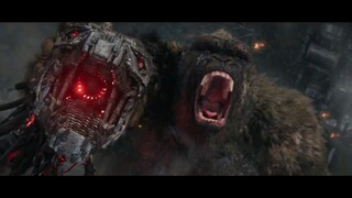 [Godzilla Đại Chiến Kong] Màn giao đấu đặc sắc