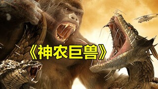 [Tang Tang] Hilarious commentary on the Chinese monster movie "Shennong Giant Beast" — here comes th