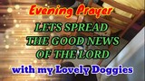 Evening prayer with my lovely doggies (Let's Spread the good news of the lord)