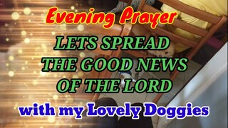 Evening prayer with my lovely doggies (Let's Spread the good news of the lord)