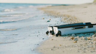 女孩每天都要抓小鱼苗，但他却从来不吃，而是捣碎后全丢进大海！