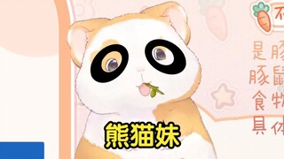 花玲：为什么有黑眼圈，因为我是熊猫妹呀！【花玲片2】