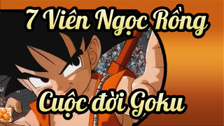7 Viên Ngọc Rồng|【AMV】Cuộc đời Goku！Tôi sẽ không bao giờ ngừng lại!