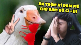 NGỖNG PHA QUẾ ĐỔI NGHỀ ĐI ĂN TRỘM ĐỒ LÓT !!! (Pobbrose Ngỗng pha quế) | Untitled Goose Game ✔