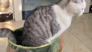 Today is my first work on Bilibili