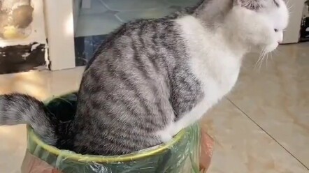 Today is my first work on Bilibili