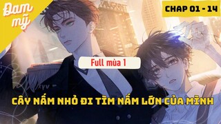 Full Mùa 1 - Truyện tranh:  Nấm Nhỏ | Review Đam Mỹ