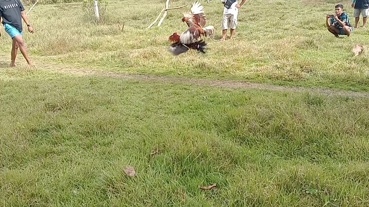 Semana Santa tupada. .unang arangkada sabit na ang pula namin