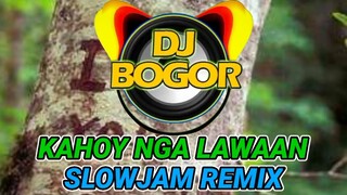 KAHOY NGA LAWA-AN ( SLOWJAM REMIX ) DJ BOGOR