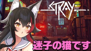 【STRAY】猫になってロボットの世界を旅する続き【２】