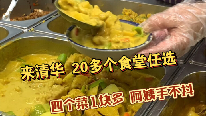 在清华逛吃一天 炸裂我认知