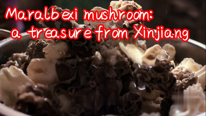 Maralbexi mushroom: a treasure from Xinjiang
