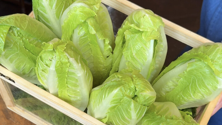 Salad Caesar Shanghai cuma 128 RMB! Selada Roma renyah banget～ banyak banget kejunya! Wangi susunya 