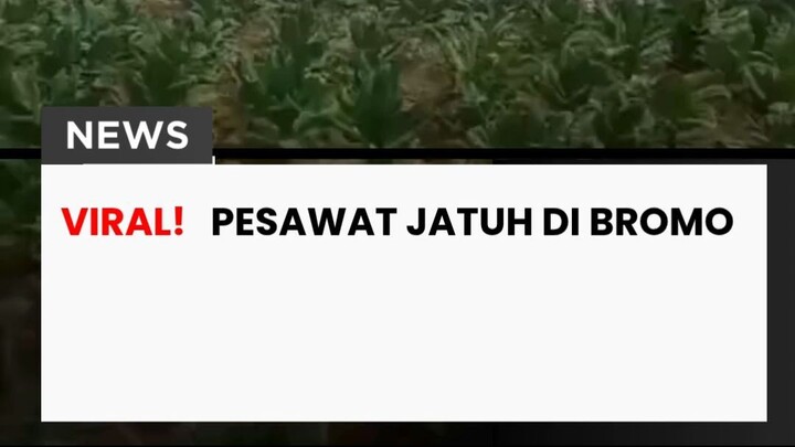 kacau pesawat jatuh di bromo