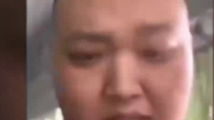 A light sign strangled the little fox