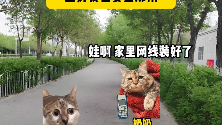 Tình thân luôn ở đó, tình thật chỉ hiện hữu bên ta.