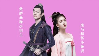 【江澄×洛菲菲】｜千年单身狗舅舅有老婆啦！｜汪卓成×赵露思｜