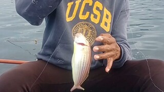 semlping Buhay..sa Isla ng dinagat island